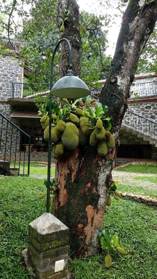 Wildernest Bed & Breakfast Thekkady Exterior foto