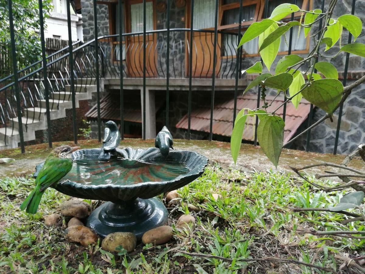Wildernest Bed & Breakfast Thekkady Exterior foto