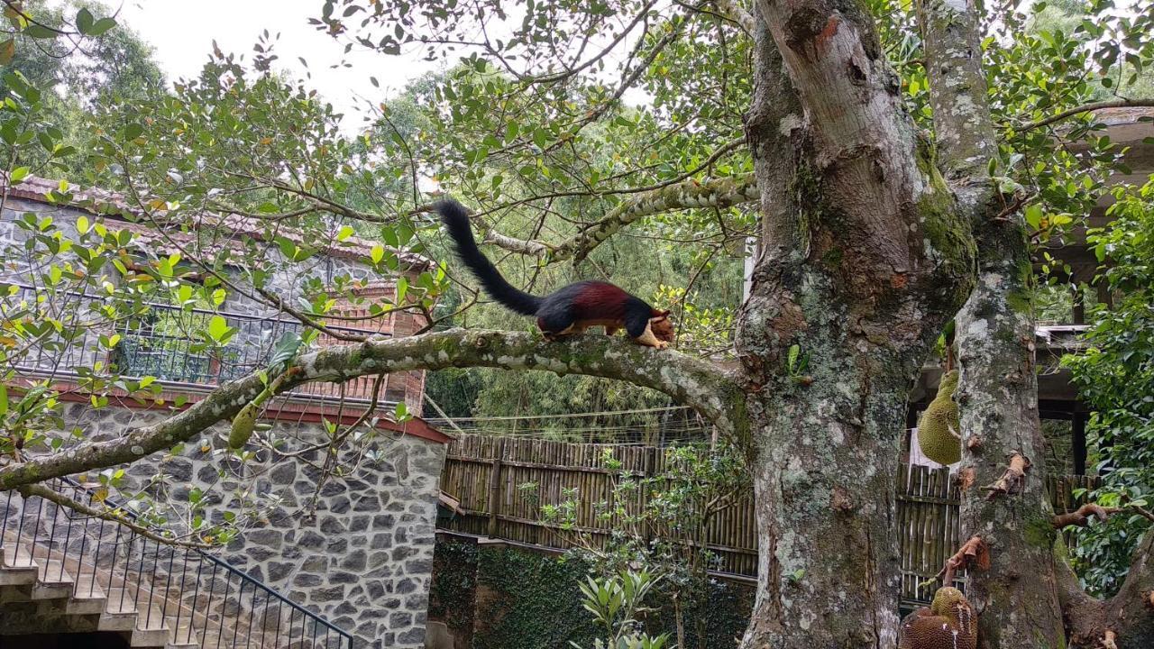 Wildernest Bed & Breakfast Thekkady Exterior foto