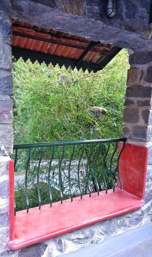 Wildernest Bed & Breakfast Thekkady Exterior foto